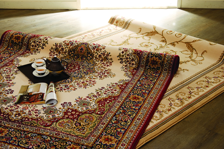 HOLA特力屋地毯保養進行時