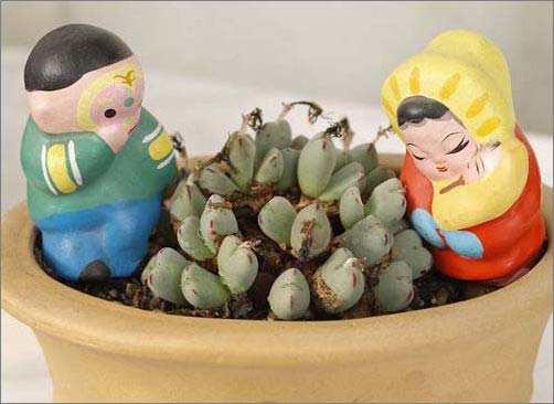 �T��Сʯ�������o�޾��ʼҾ�