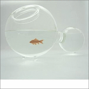 ���(l��i)�Ҿ�Ʒ�w��(hu��)��һ�ӵ�����