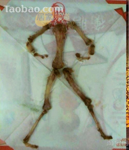 ����ϵ»���Ľ���