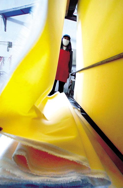 油車港植絨新品種占全國1/2