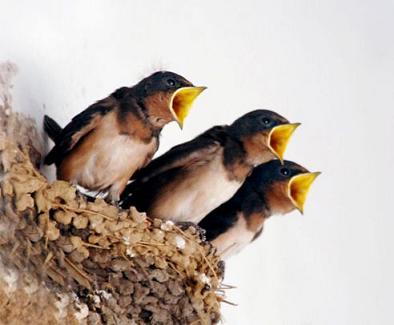 創業必看十大經典要訣