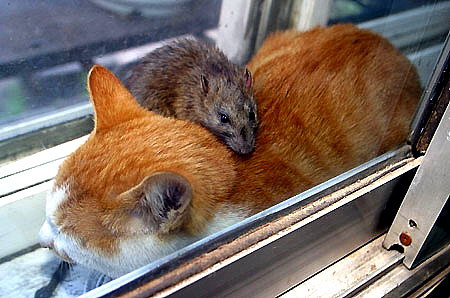 創業必看十大經典要訣