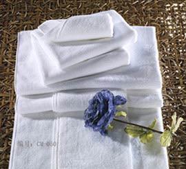 �Ҽ��I�T��Ͷ�Y����γ����Ƅ�