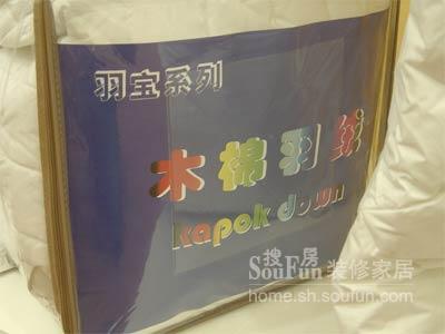 ľ����q����ů�ʾ��Ը�����q