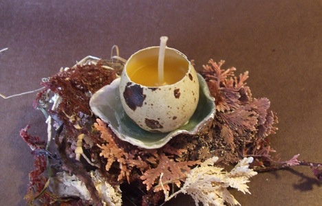 ����DIY������Ϟ�T