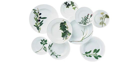 �ǹ���ɐ۲�ɫ��������