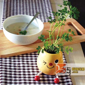 ��(chu��ng)��N��С�Ʒ�o������c(di��n)�ϣ�һ��