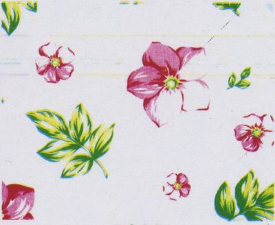 �A�Wӡ������