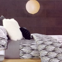 ��ɫ����