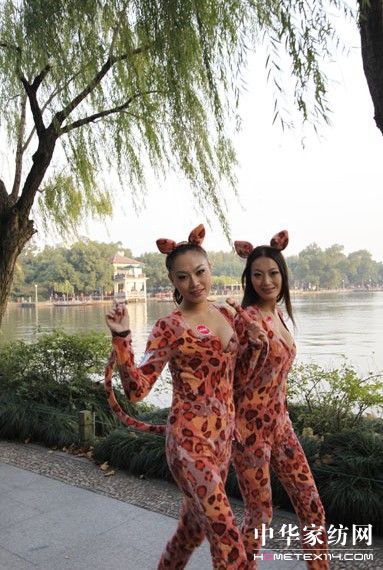 豹女郎高調現身主推維科新品