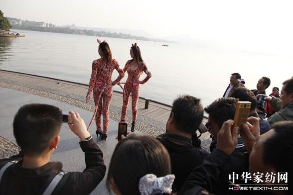 豹女郎高調現身主推維科新品