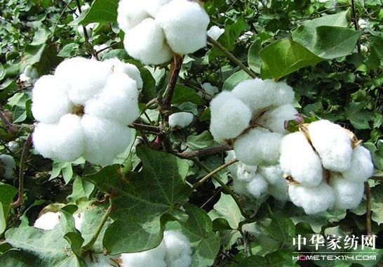 ����Ҽ�ռ���YԴ����