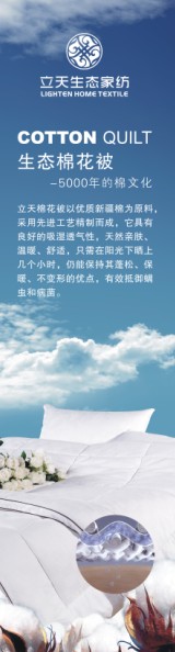 �������B�޻���¡������