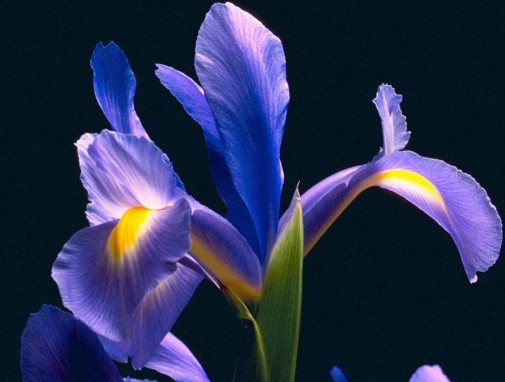 �L��2011 Ҋ�C���_�m�ĿƼ���(chu��ng)��