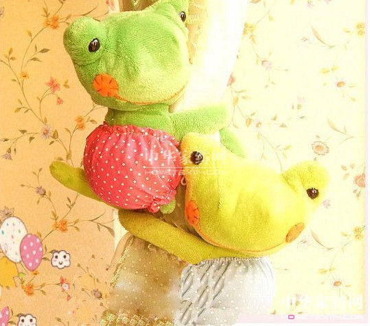 ��Ů�������؂�ɐ۴��������ˑ�