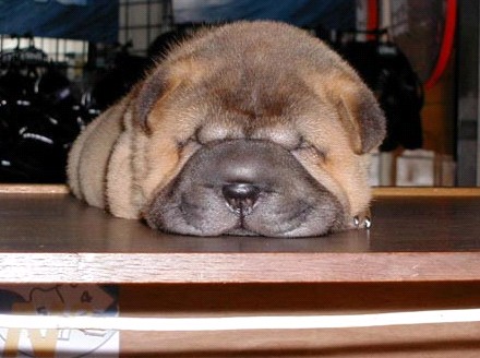 �H�������˯һС�r����