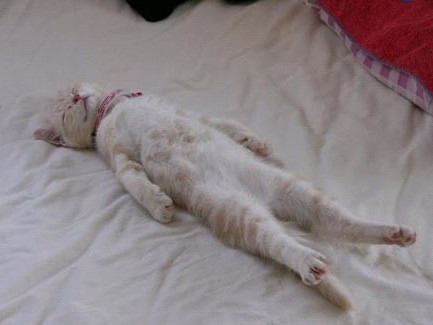 �H�������˯һС�r����