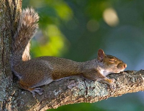 �H�������˯һС�r����