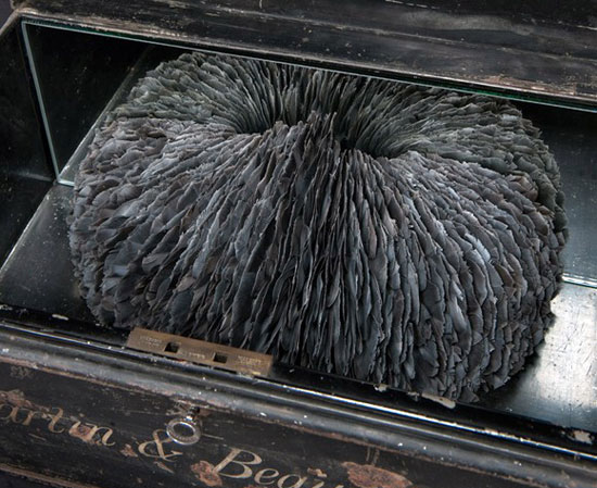 ��(chu��ng)�����}����(d��ng)ϵ����ë����