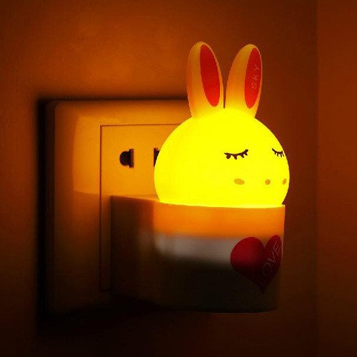 һҊ�A�ĵ��_������15����IN����c���ɐۼ�