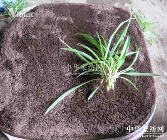 ���_�m���x��̺ ��O���К��|�Ƿ�