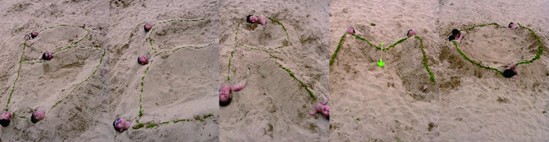 ӛ���z�Ҽ����̈F(tu��n)����u��