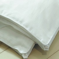 ɣ�Q�z��ĸ��