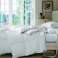 �W�m���Z�q����