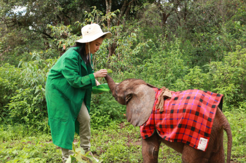 ���������"׃��"�����h�����J�B(y��ng)����