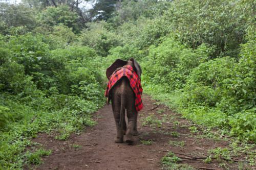 ���������"׃��"�����h�����J�B(y��ng)����