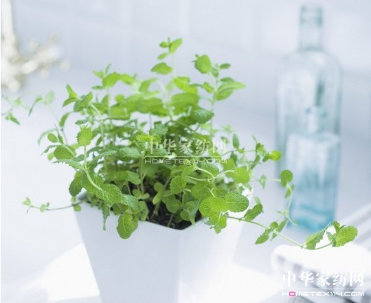 ���_�m�Ҽ�����С�Nʿ