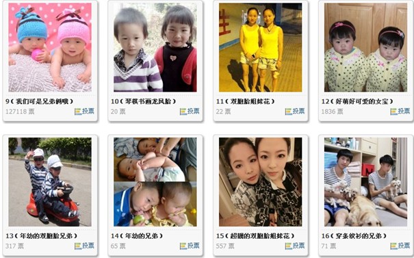 ���z�������p���ǡ���ӻ��ͶƱ��