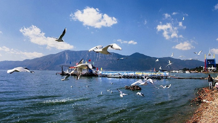 ������;һ·�����L�ٻ�܇��·�����]��1��