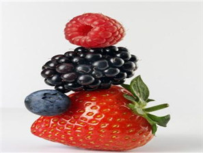 ��ͽ����Է� ��õ��Ŷ����