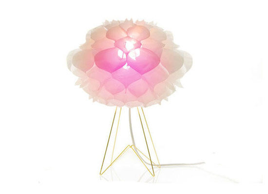 ���⻨�ͼ�Ʒ������|��������