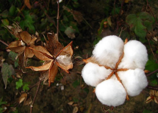 ��(gu��)�Ұl(f��)��2014���޻�Ŀ��(bi��o)�r(ji��)��