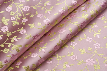 �ϳ�z�I�Ļ��о����_չ�������