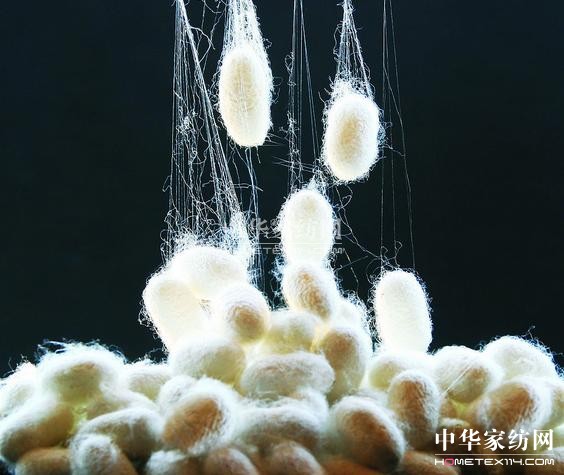 �Ҽ����Ͻ�B�����z