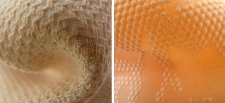 2015�����Ї�(gu��)��(gu��)�H���������o��չ