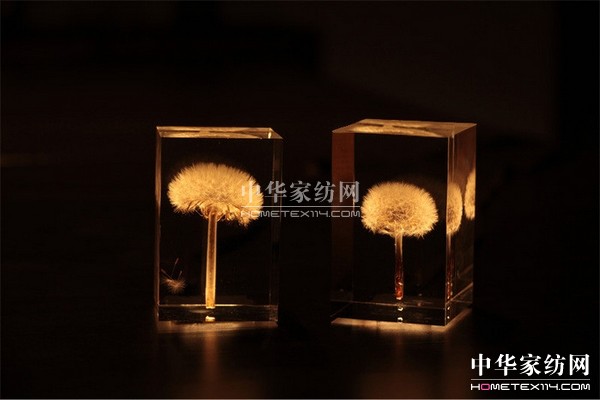 ������͸���ѹ�Ӣ���K��