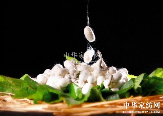 �V���Q�I(y��)���g(sh��)�ƏV��r�������ό����_