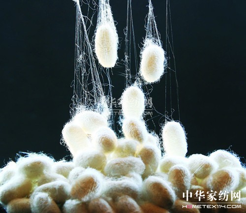 ��z�c����z�ą^�e