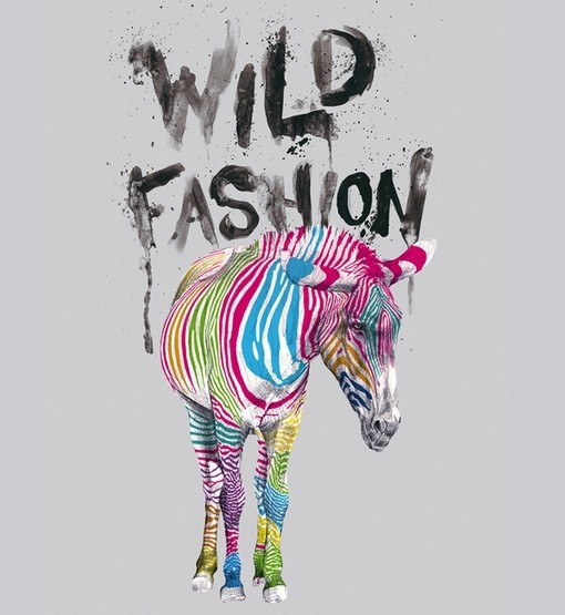 2014Ӱ푇��H�r�е�ʮ��څ�ݷ���