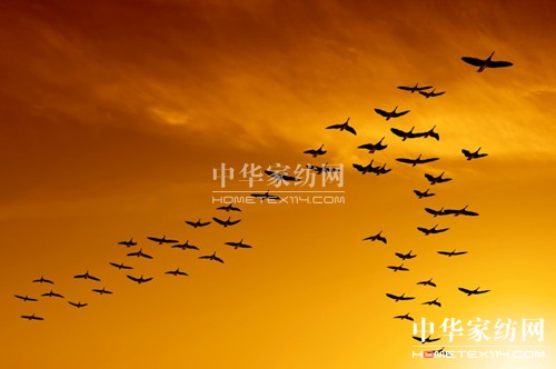 �I����֮���������u�ͷ���