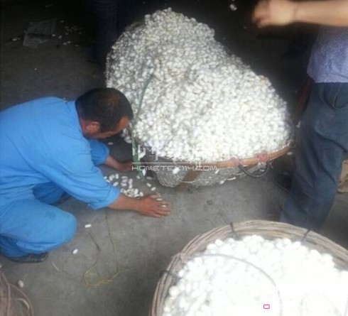 ͩ�l�����d�ȵ��_ʼ��ُ���괺�O