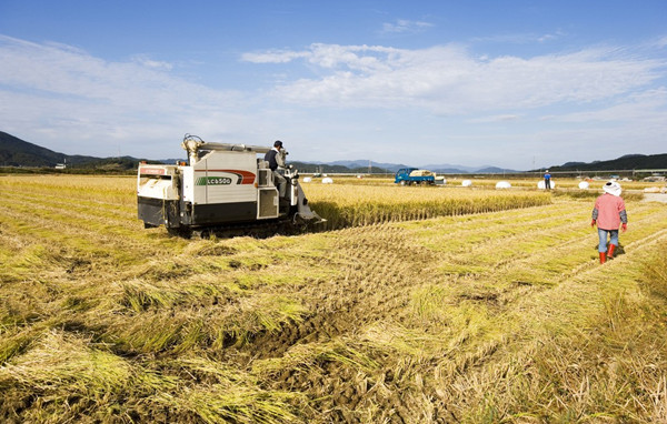 ���|���l�ӵؚ� �lչ�r���Ј�