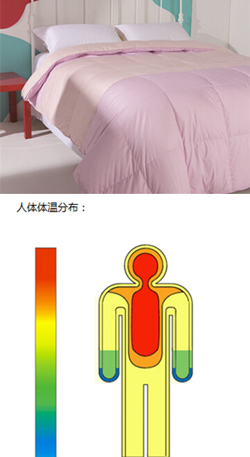 ���R���Ҽ��_�l���߿Ƽ���q��