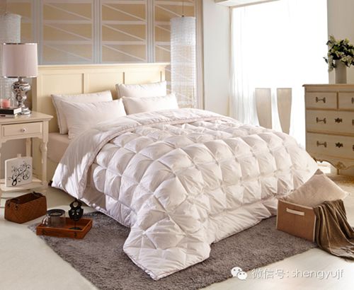 ʢ��Ҽ��ﶬ��Ʒ���������ۡ���оϵ��