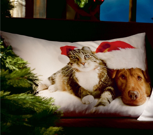 ���r�мҼ�Ʒ��ʥ�Q��Ԫ�ؿ��|�������C����